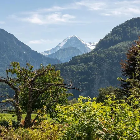 Salzano Basic Interlaken Hotel