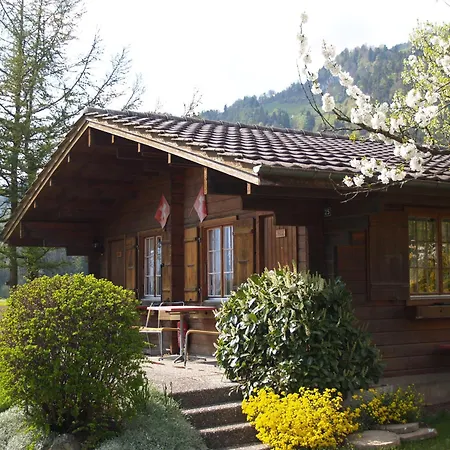 酒店 因特拉肯萨尔扎诺基本客房酒店 Unterseen