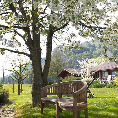 因特拉肯萨尔扎诺基本客房酒店