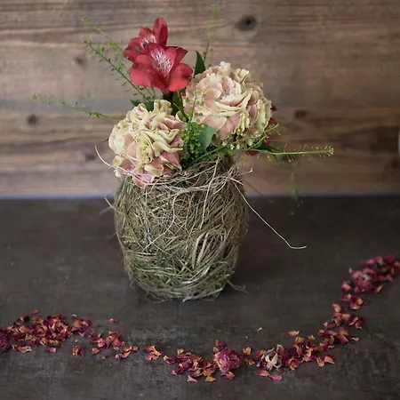 因特拉肯萨尔扎诺基本客房酒店 Unterseen