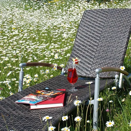 因特拉肯萨尔扎诺基本客房酒店 酒店 2*