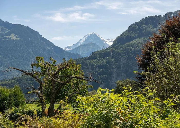 Salzano Basic Interlaken Hotel