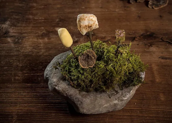 زايتسانو بيسك رومز إنترلاكن 2* Unterseen