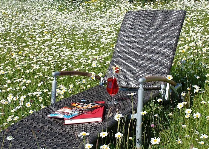 زايتسانو بيسك رومز إنترلاكن فندق 2*