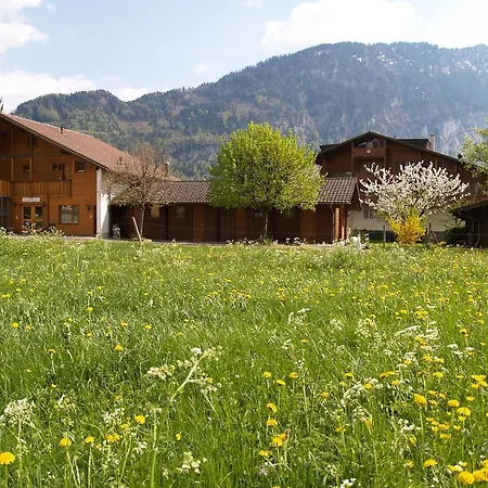 Salzano Basic Interlaken