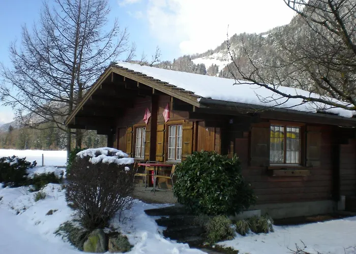 Salzano Basic Interlaken