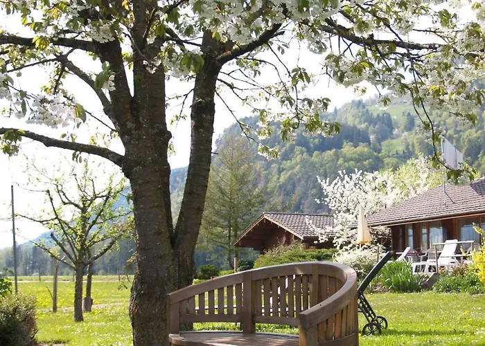 Salzano Basic Interlaken