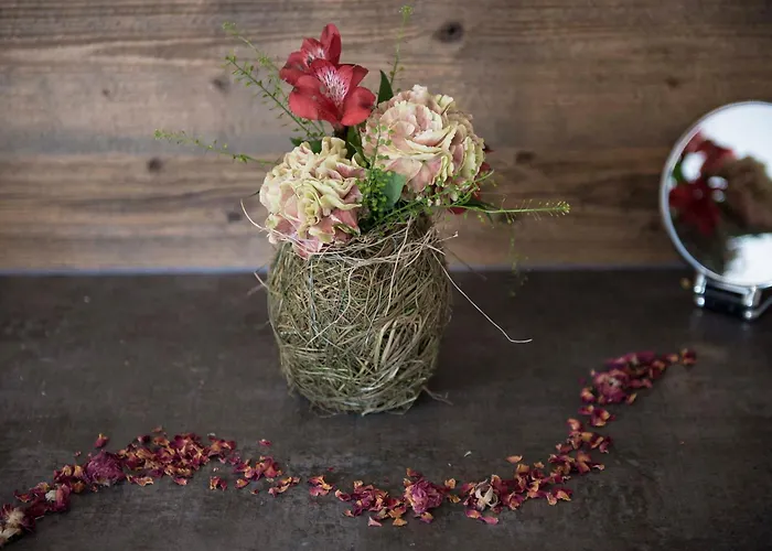 Salzano Basic Interlaken Unterseen