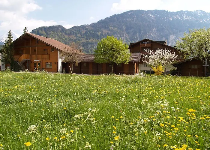 Salzano Basic Interlaken