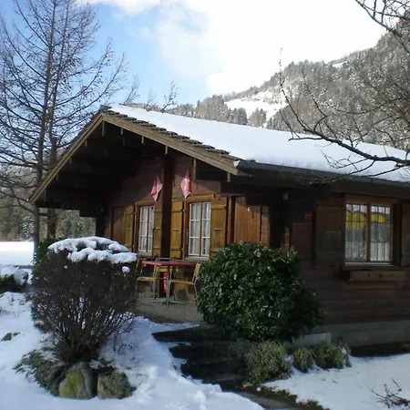 Salzano Basic Interlaken