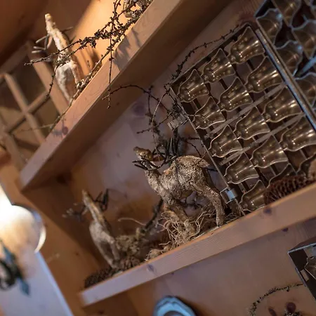 Salzano Basic Interlaken Otel 2*