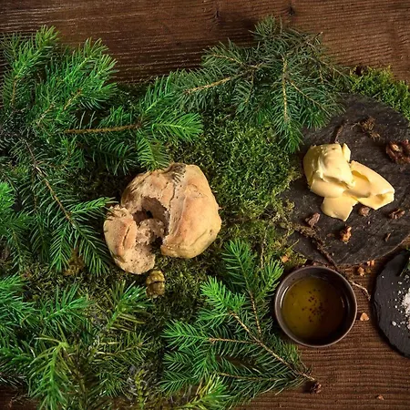 Salzano Basic Interlaken 2*