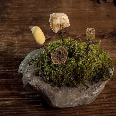 Salzano Basic Interlaken 2* Unterseen