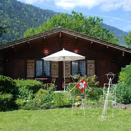 Salzano Basic Interlaken